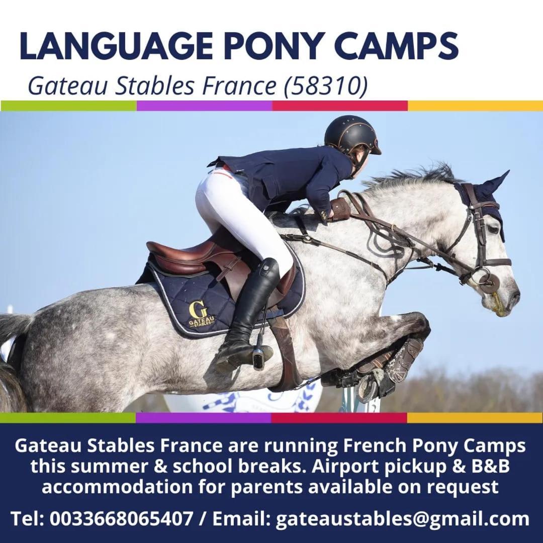 Ferme Equestre & Chambres D'Hotes Gateau Stables Proche Guedelon Saint-Amand-en-Puisaye Exterior foto